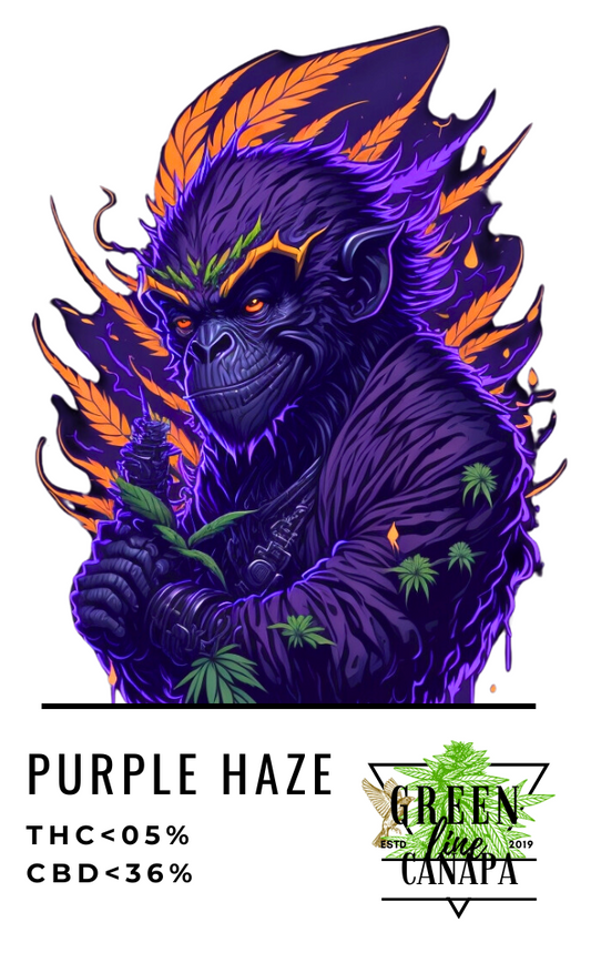 PURPLE HAZE